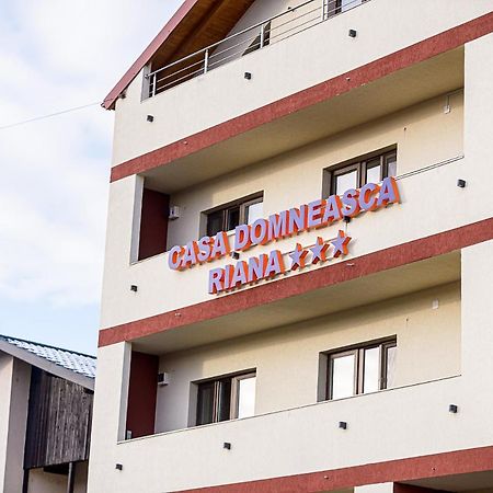 Hotel Casa Domneasca Riana à Piteşti Extérieur photo