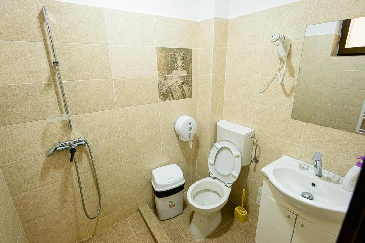 Hotel Casa Domneasca Riana à Piteşti Extérieur photo